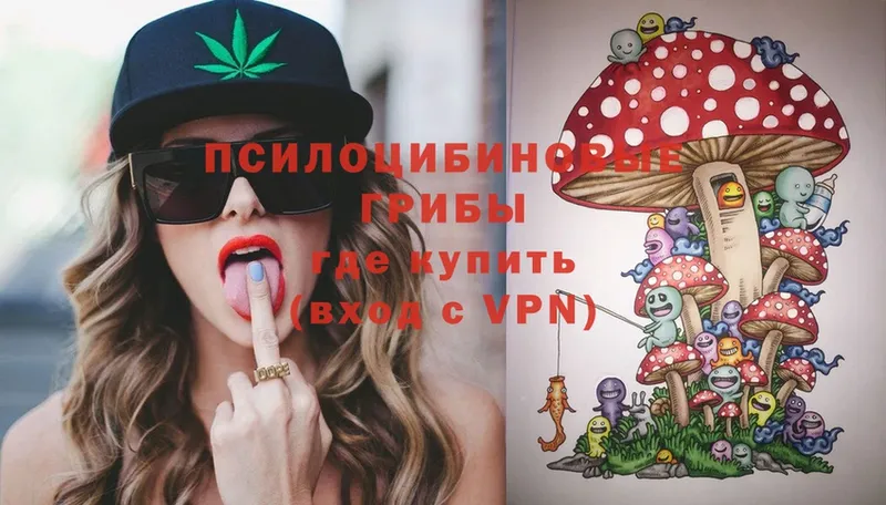 мега как войти  хочу наркоту  Кумертау  Галлюциногенные грибы Psilocybe 